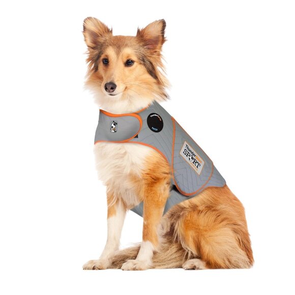 Thundershirt Sport Calming Wrap - Platinum/Orange - L (41-64 lbs) - Picture 1 of 11